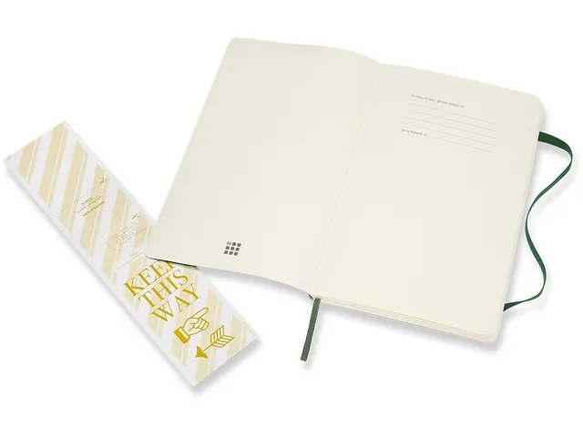 Carnet de notes Moleskine L 130x210mm uni vert myrte