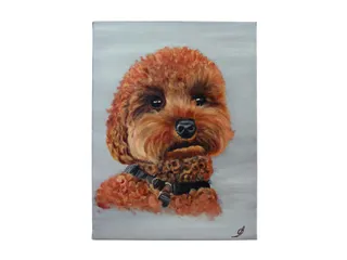 Schildersdoek Qrea Studio 50x70cm - 6