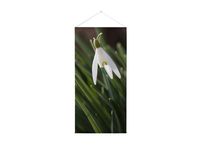 Wanddecoratie Tapestry 58x200cm White Flower Snowdrop