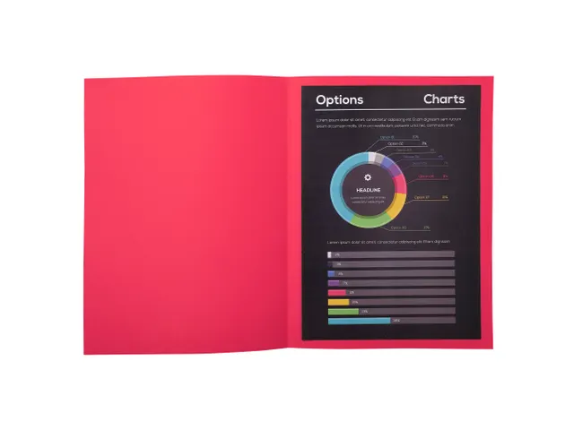 100 dossiermappen ROCK''S 220 24x32cm Framboos