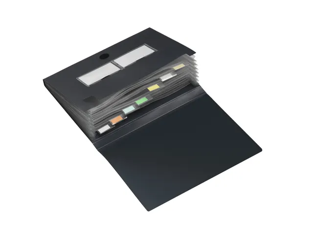 Sorteermap HF2 A4 7 vakken antraciet PP