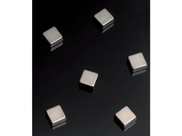 Naga Magneten Voor Glasborden 6 Stuks