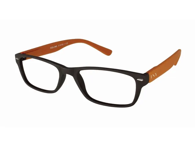 Lunettes de lecture I Need You +3.00 dpt Feeling brun-orange