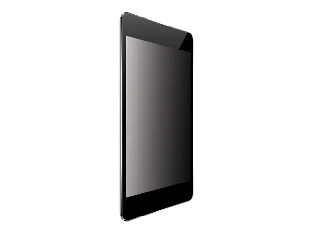 Origin Storage Privacy Filter OSFP4WAD6.1L/P-IP11, 15,5 cm 6.1 inch