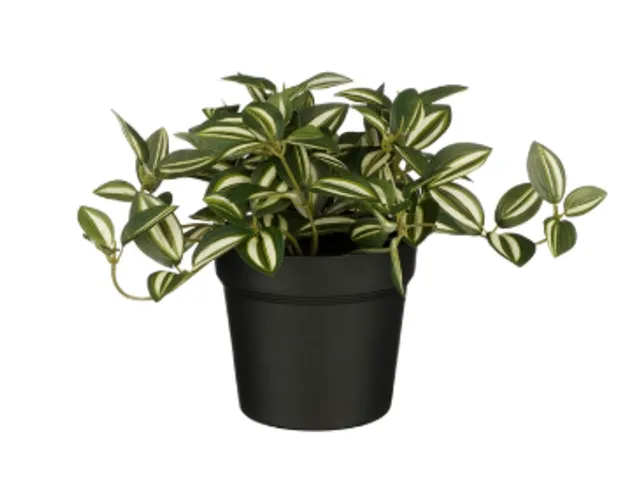 Kunstplant Mica Tradescantia in pot groen 16x16cm
