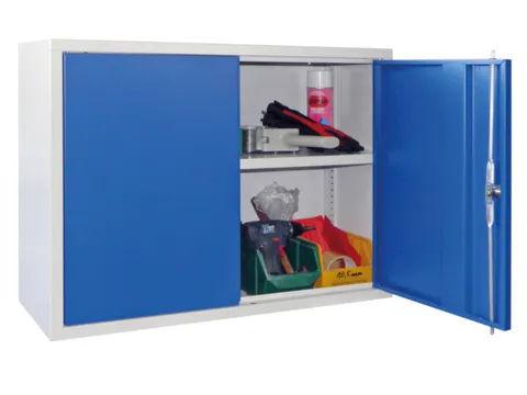 Hangkast 600x800x300mm 1 Verstelbaar Legbord Ral 7035 Front Ral 5012