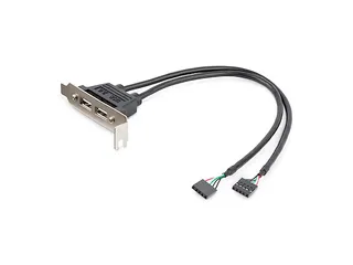 2-poorts USB A vrouwelijke low-profile Slot Plate Adapter - 1