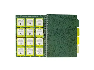 Projectboek Pukka Pad Recycled B5 lijn 4-tabs 200 pagina's 80gr groen - 5