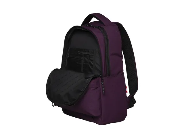 Rugtas Walker Alpha Classic Plum