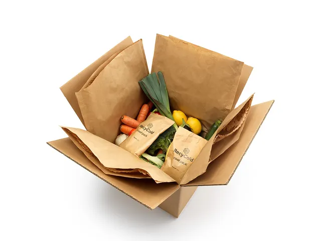 RecyCold Cool Pack Kraft/PE Koelelement 500 gram 220×150×30mm