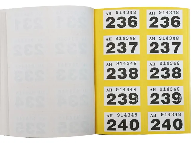 Genummerde Tickets 1-500