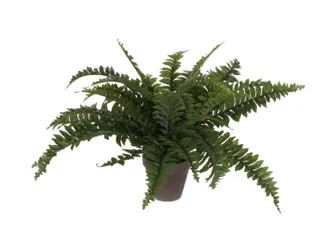 Kunstplant Mica Boston varen groen in pot 42x50cm - 1