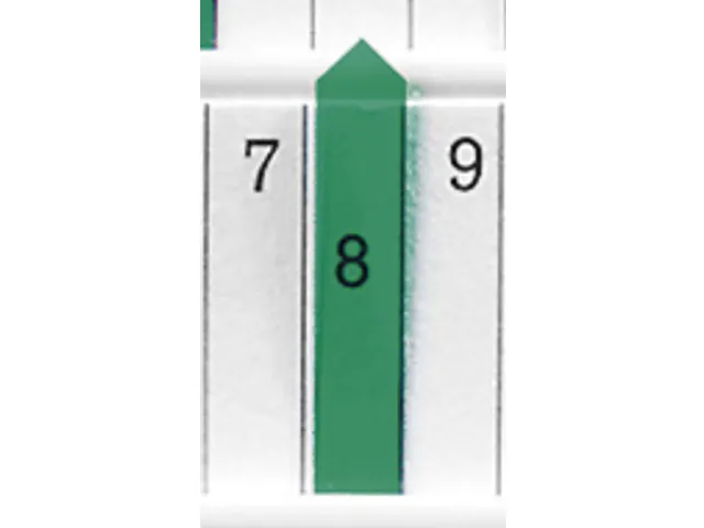 planningspijl,B 7mm,kunststof,groen-transparant