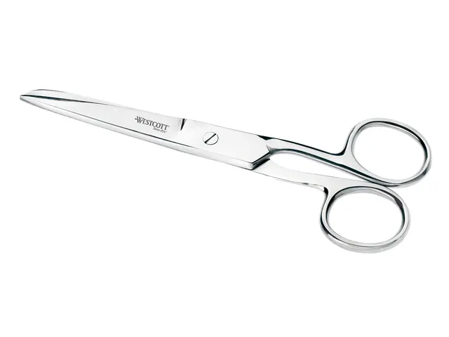 Schaar Westcott 12cm RVS glanzend