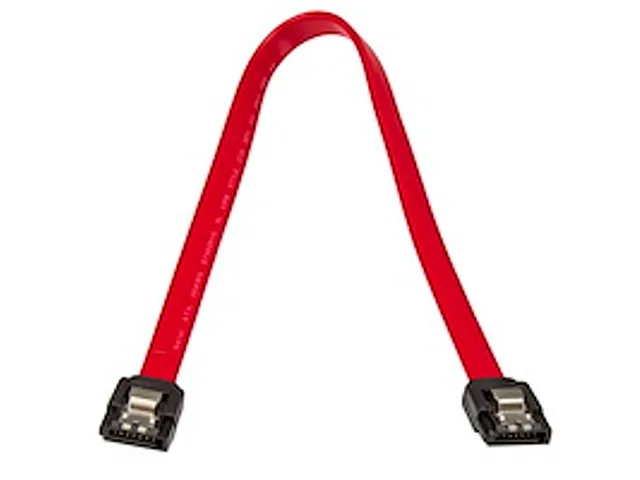 30cm Vergrendelbare SATA-kabel