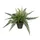 Kunstplant Mica Varen groen in pot Stan grijs 38x50cm