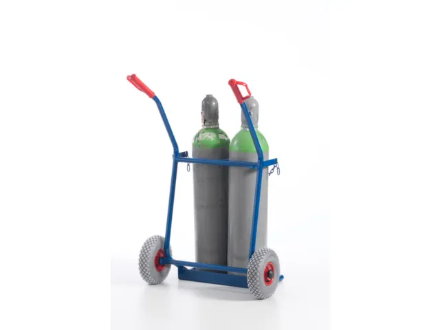 Diable Pour Bouteilles Force 100 kg 2bouteilles De 20 l Bandage Pneu