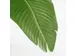 Kunstplant Mica Bananen boom in plastic pot 180x30cm