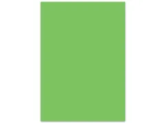 Folia Creakit fotokarton 50x70cm 300gr Lichtgroen 25 vel