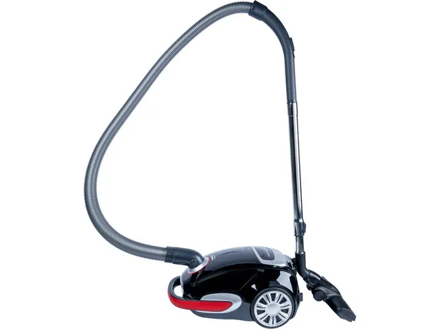 Stofzuiger 4 Liter Cilinderstofzuiger Droog 800W Stofzak