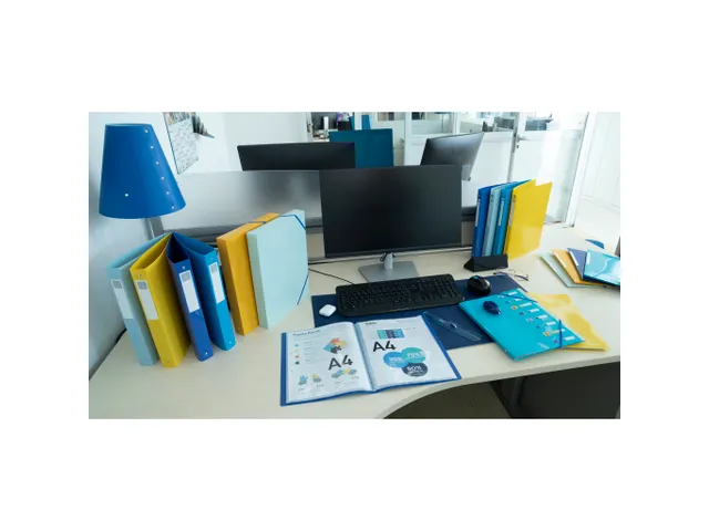 Classeur 2 anneaux 30mm polypropylène recyclé BeeBlue - A4 Maxi - Co