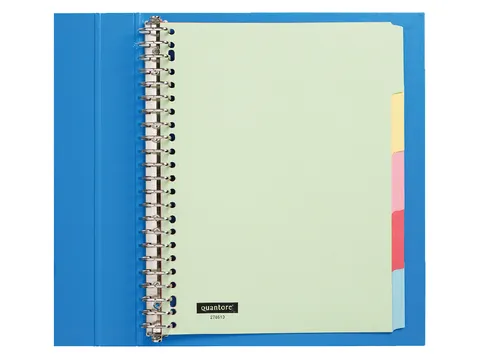 Tabbladen Quantore A4 23-gaats 5-delig assorti karton