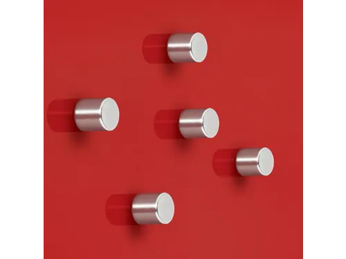 Magneten Sigel voor glasbord set 5stuks zilverkleurig 10x10x10mm