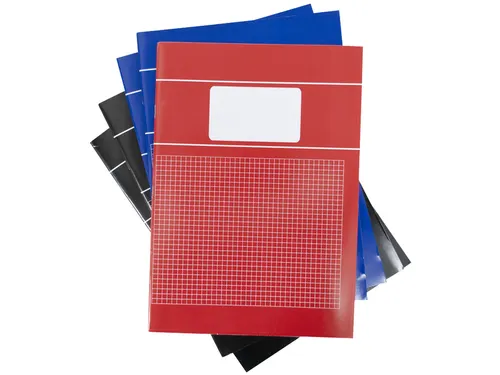 Schrift SOHO Basic A4 ruit 5x5mm 80 pagina's 60gr assorti 5 stuks