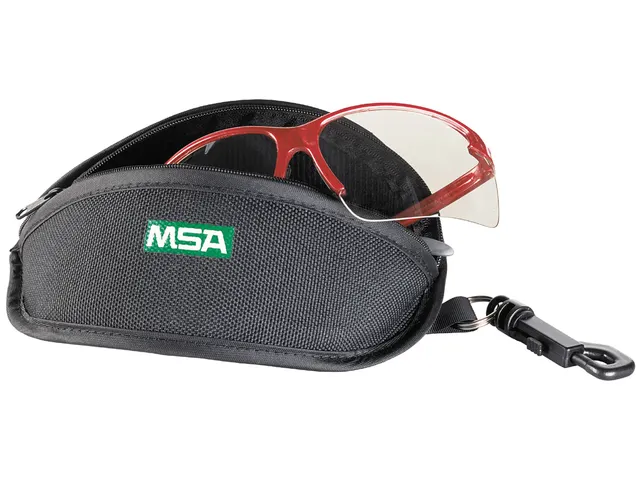 MSA Perspecta Hard Case brillenetui