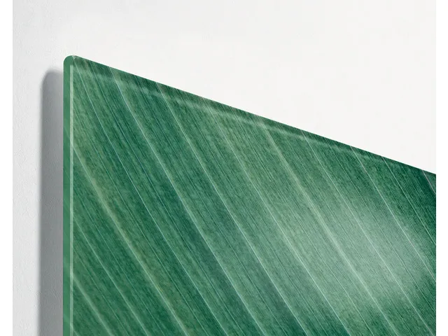 Glasmagneetbord Sigel mat PALM LEAFS 91x46cm