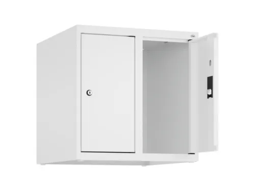 opzetkast,v. locker,2vak.,vak B 250mm,HxBxD 500x500x500mm,vleugeldeur
