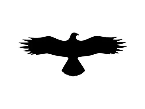 sticker,Buizerd,PVC,zwart,zelfklevend,HxB 145x367mm