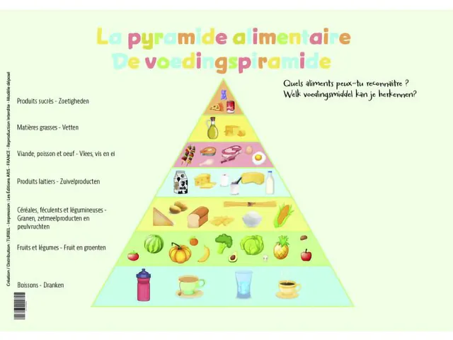 Sous-Mains La pyramide alimentaire NL+FR42 x 30 cm