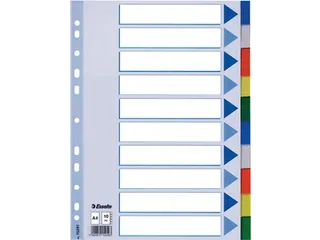 Esselte Tabbladen 10 Tabs - 1