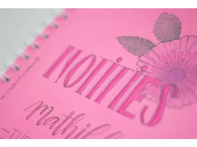 Plakboek Kangaro A5+ 120 grams 40 vel, voorkant roze