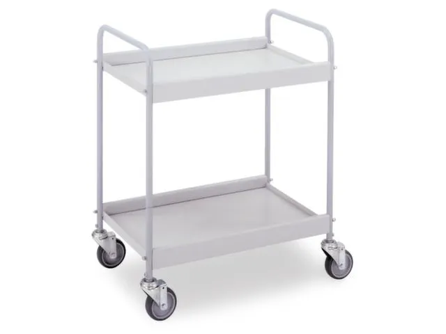 Universele Wagen 150kg 785x425mm 2 Etages Met Beugel Zilvergrijs