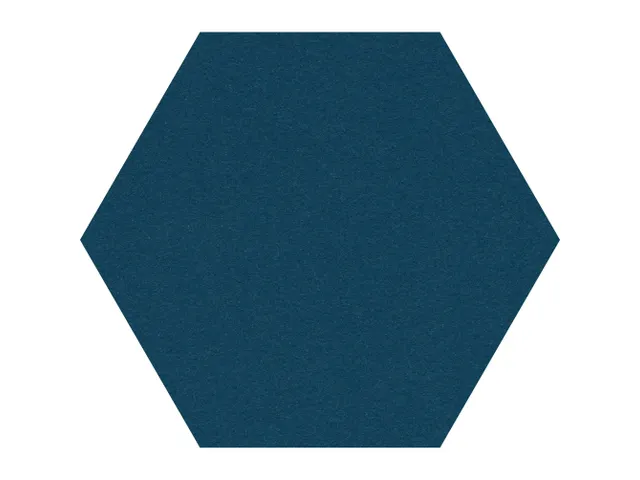 Prikbord Zeshoek Blauw kleur 2214 Bulletin Paneel Ø 60cm frameloos