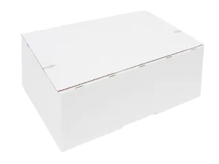 Postpakketbox IEZZY 4 305x215x110mm wit - 1