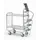 Ladderwagen Draagvermogen 200kg 2 Etages 000x 425mm 3 Treden