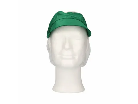 Pet met klep en haaropvang maat L Polyester Kroon Groen 100 stuks