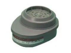 Bx20X2 Msa Advantage Gasfilter