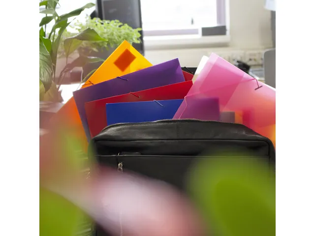 Elastomap Kangaro A4 PP volle kleur blauw