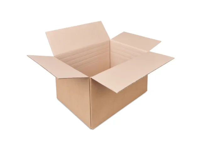 Golfkartonnen Doos 313x222x279mm Bruin Automatische Bodem 10 Stuks