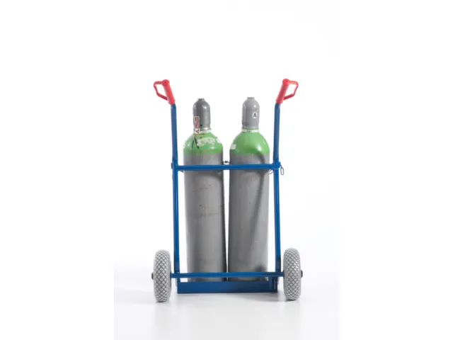 Diable Pour Bouteilles Force 100 kg 2bouteilles De 20 l Bandage Pneu