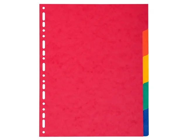 Tabbladen glanskarton 225g 5-delig A4 maxi Assorti