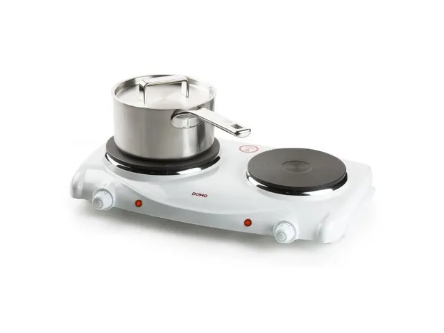 Elektrische Kookplaat 2 Pits 6 Standen 1000-1500W Wit