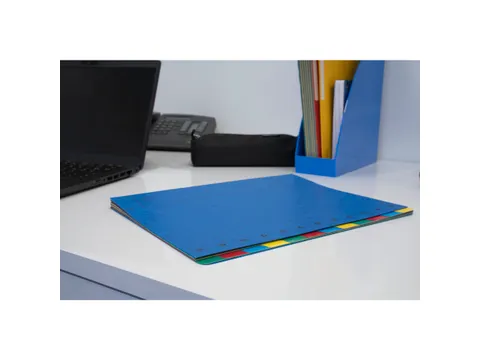 Sorteermap Harmonika 12 vak blauw