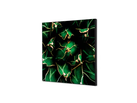 Wanddecoratie Textiel Set 40x40cm Cactus Groen