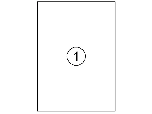 Etiket Quantore 210x297mm wit 100st
