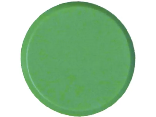 Magneten 30 Mm Groen 10 Stuks